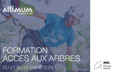 Formation Accès aux arbres – du 21-24 mars