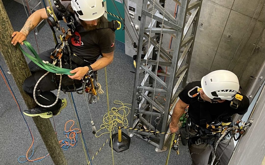 L’importance de la formation continue pour les professionnels des travaux en hauteur